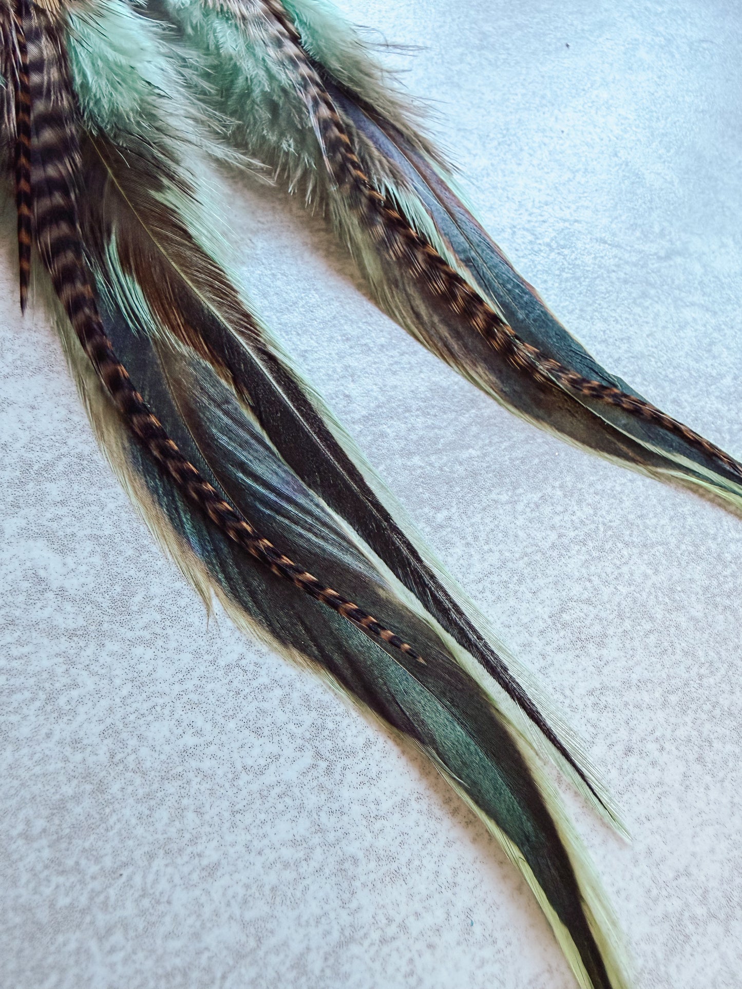 Brown + Mint Feather Earrings