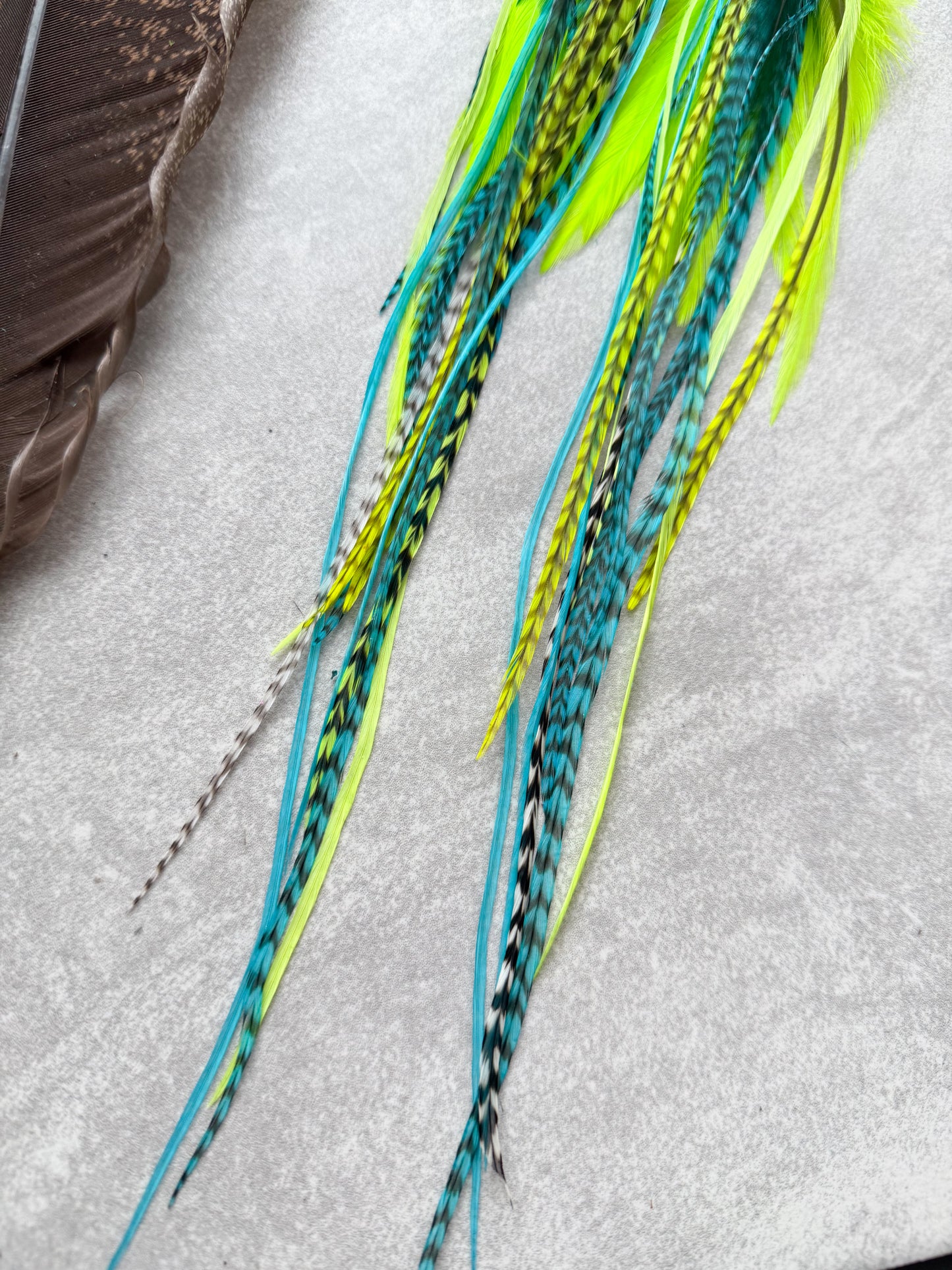 Neon Feather Earrings