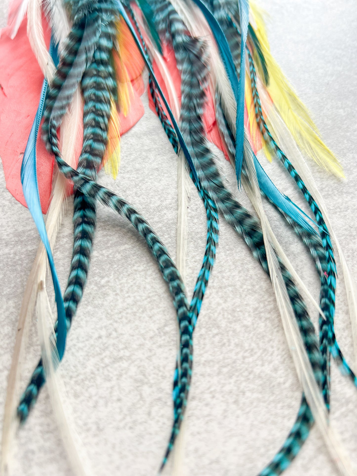 Malibu Feather Earrings