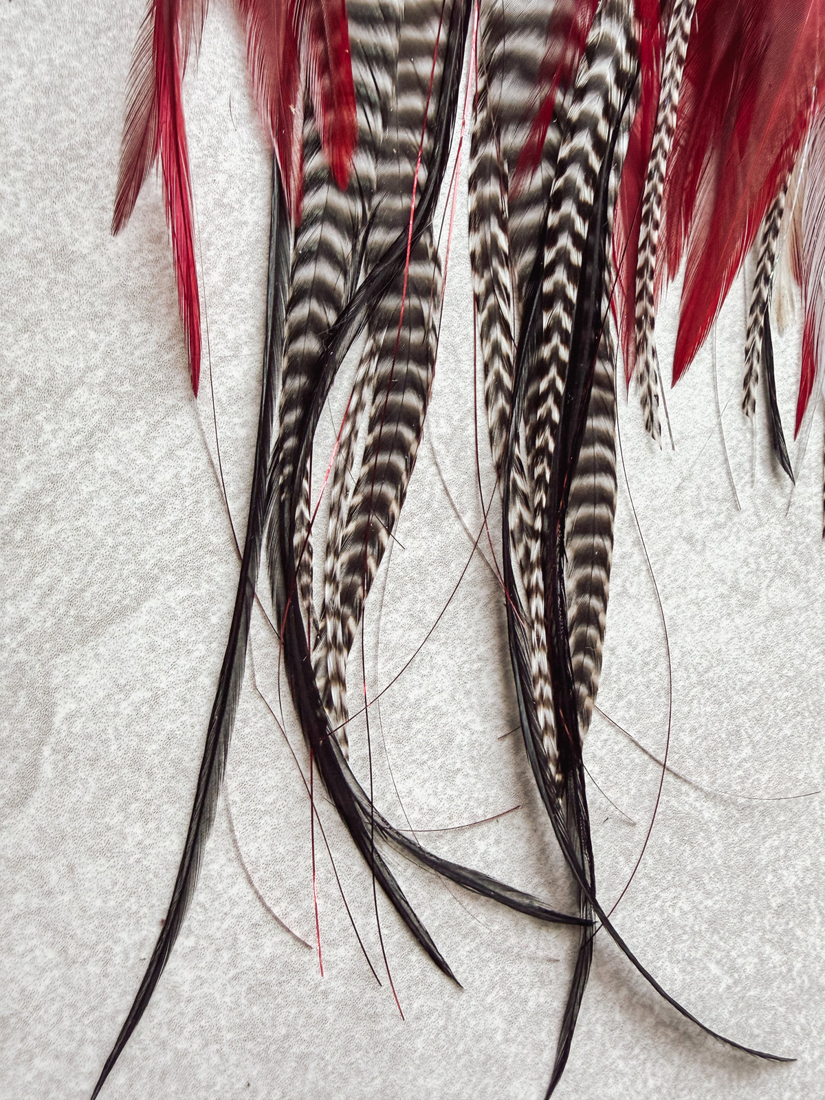 Griz Feather earrings