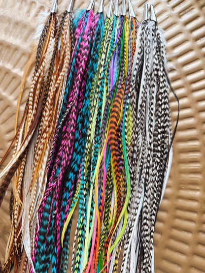 XL Long Feather Earrings