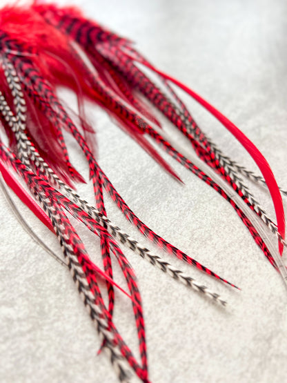 Candy Apple Feather Earrings