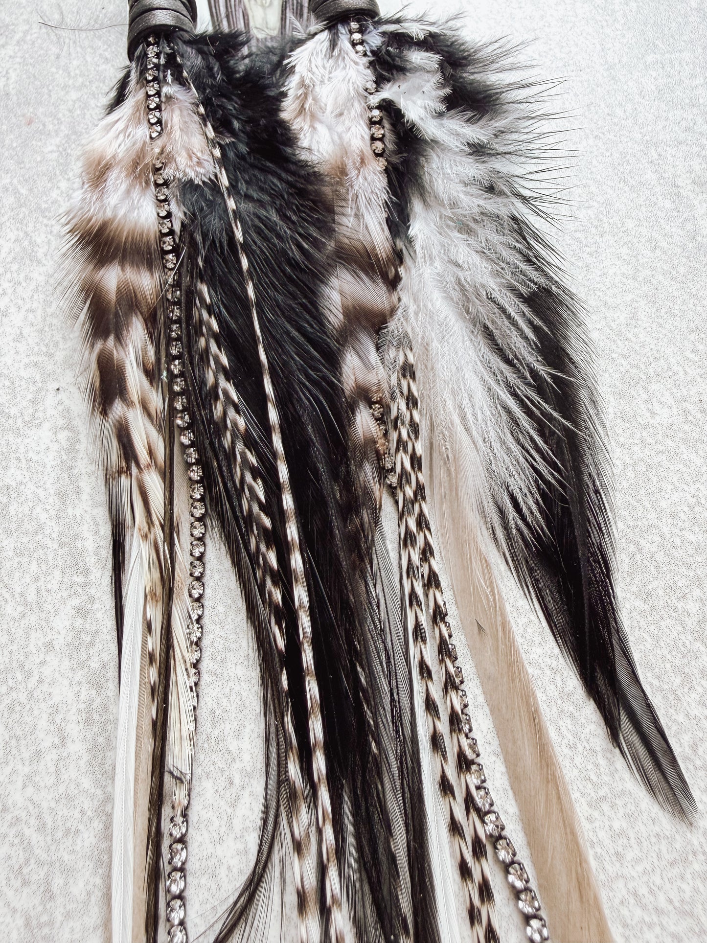 Back In Black Feather Earrings
