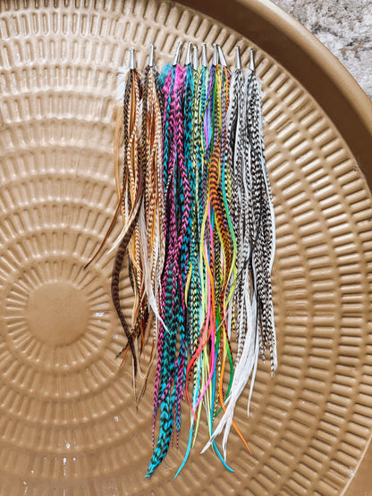 XL Long Feather Earrings