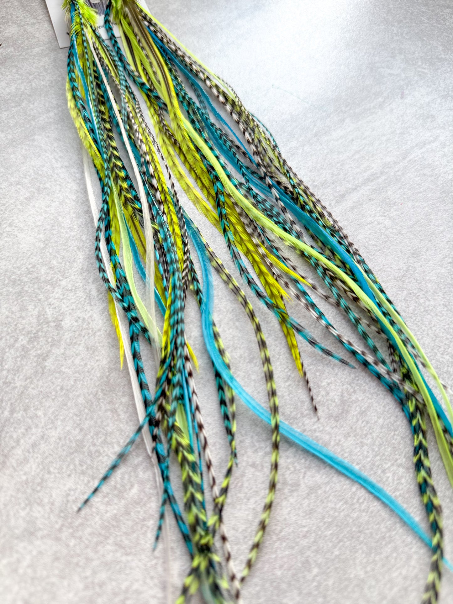 Neon Feather Earrings Teal