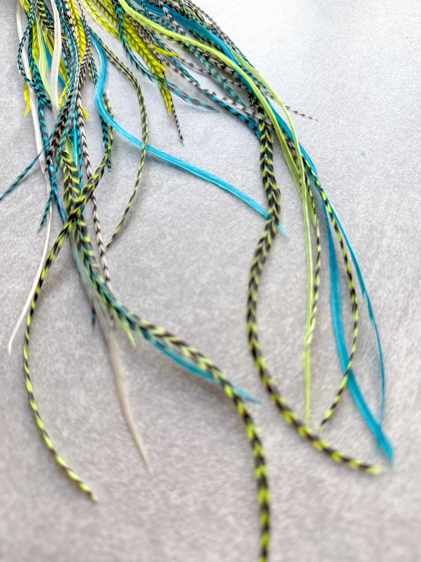 Neon Feather Earrings Teal